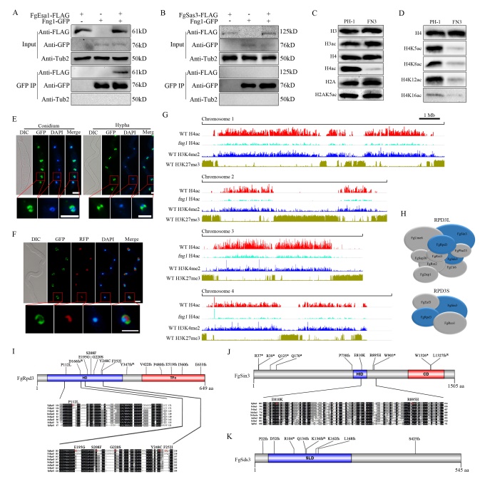 PLOS genetics图片2.jpg