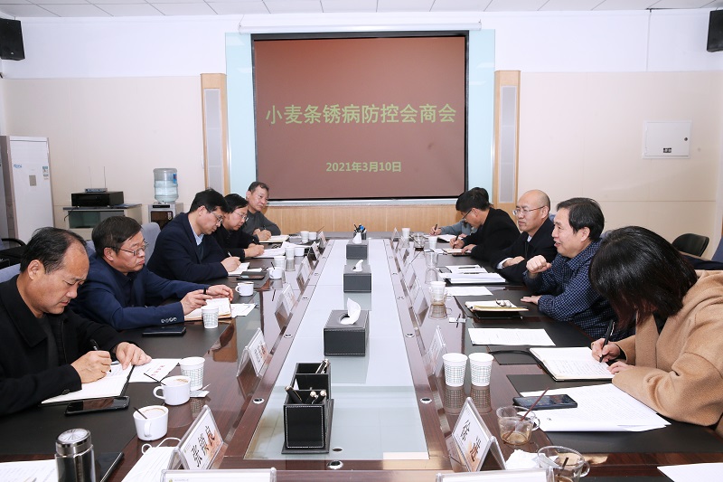 小麦条锈病防控会商会.jpg