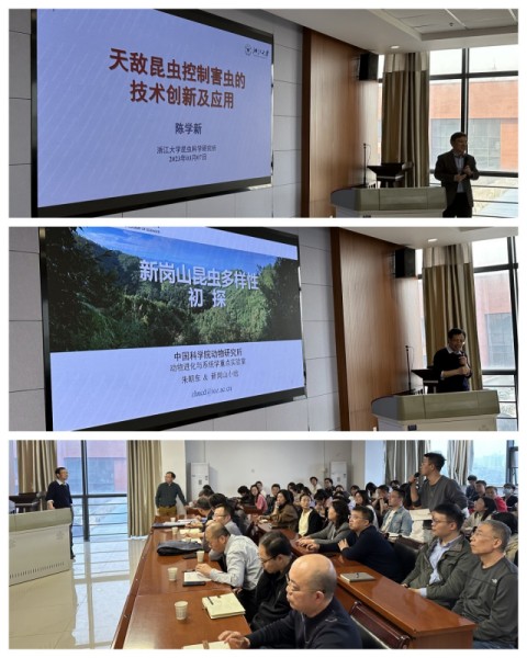 学术报告会场_秀秀尺寸.jpg